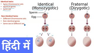 Types of Twins in Hindi [upl. by Melac]