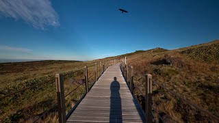 Hallasan Mountain Yeongsil Trail Descent Jeju Island South Korea•4K HDR [upl. by Stilla]