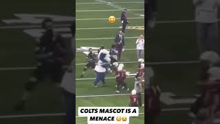 Colts Mascot Causes Chaos Blues Antics Steal the Show vs Vikings NFL Shorts Colts hilarious [upl. by Bobker]