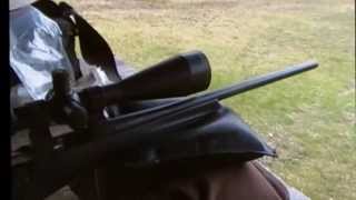 Sightron scope and Browning 223 x Bolt at 100 200 yards [upl. by Amadis]