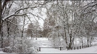 Winterlandschaft  Winter am Wilnsdorfer Weiher  Januar 2019 [upl. by Ariaet]