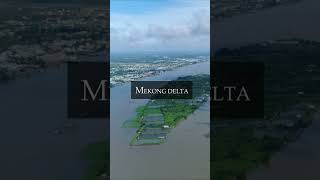 The Mekong Delta  Which is more important to you  mekong delta boat tour [upl. by Adnohsek]