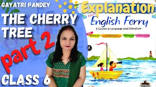 The Cherry Tree  Explanation in Hindi  Part 2  Class 6  English Ferry [upl. by Aneladgam208]