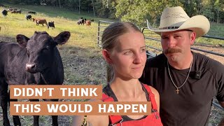 Growing Our Ranch From Zero Cows to 17 in LESS THAN a Year [upl. by Ritch]