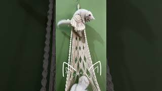 Cat Lovers l Kitty Hanging Bed l Macrame Cat Hammock [upl. by Rehpotsirhcnhoj]