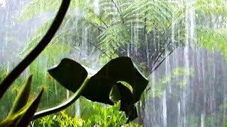 Costa Rica Rainy Season  Photo Season [upl. by Niledam]