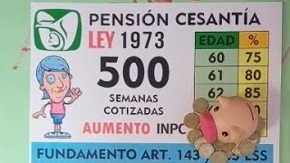 La PENSIÓN IMSS es mejor que cobrar el AFORE Jornada Nacional de MODALIDAD 40 [upl. by Ullyot452]