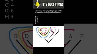 Phylogenetic tree quiz [upl. by Druce677]