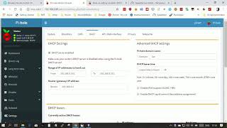 PiHole DHCP [upl. by Vasya]
