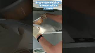 The Proper Way to Defrost a Freezer with a Steamer ProCleaningTool shorts [upl. by Notnilk533]