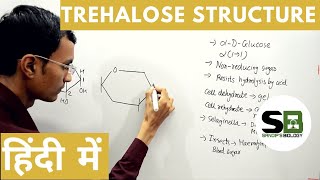 Trehalose structure in Hindi [upl. by Bridge663]