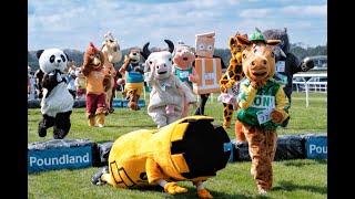 Poundland Sponsored Sue Ryder Mascot Gold Cup all time highlights [upl. by Thalassa]