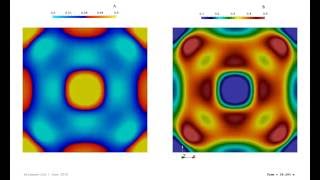 The Gray Scott Model Pattern 1 ∇ OpenFOAM® [upl. by Okomot]