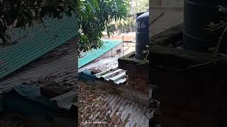 Vlog359😺😻😾আহা কি আরাম [upl. by Reizarf658]