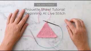 Pirouette Shawl Tutorial Beginning At Live Stitch [upl. by Ennavoj418]