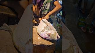 Amazing Mutton Snapper Fish Cutting Skills In Bangladesh Fish Market By Expert Cutter shorts [upl. by Tnecillim]