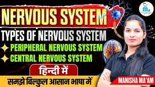 Nervous System  Types of Nervous System  Central Nervous System  Peripheral Nervous System [upl. by Sillert66]