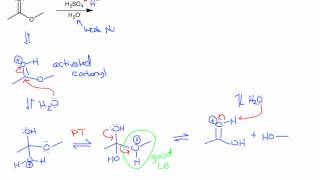 Ester Hydrolysis Acidic and Basic Conditions [upl. by Aros]