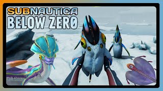 SUBNAUTICA BELOW ZERO  LADRÓN DE PINGÜINOS 🐧 [upl. by Drahser]