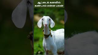 ஆட்டைக் கனவில் கண்டால் என்ன பலன்  Aadu Kanavu Palangal In Tamil  Digital Naveen [upl. by Atteve461]