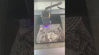 Engraving on Canvas with the Xtool Laser A StepbyStep Guide [upl. by Nedda]