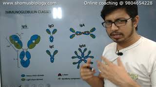 Antibody structure and function  Immunoglobulin [upl. by Etterrag]