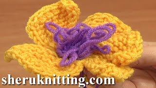 Garter Stitch 5Petal Flower with Fur Stitch Center Tutorial 8 Knitting The Loop Stitch [upl. by Olodort]