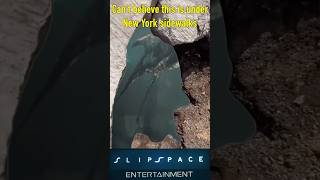 Under New York Sidewalks halomemes shorts gaming halo memes haloinfinite [upl. by Eppilihp]