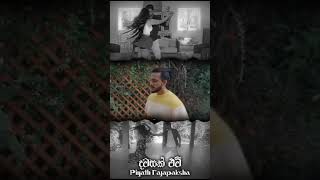 Dawasak Ewi Apith දවසක් ඒවි  Piyath Rajapaksha  Lyrics Video  Ar Vibes  tiktok shortsfeed [upl. by Spillihp]