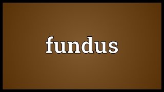 Fundus Meaning [upl. by Marley99]