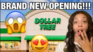 DOLLAR TREE BRAND NEW OPENING Orange County [upl. by Meean]