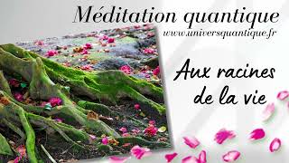 Méditation guidée pour senraciner et se ressourcer des énergies de la Terre [upl. by Keiko433]