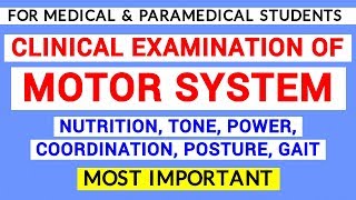 MOTOR SYSTEM EXAMINATION  CLINICAL LAB  PHYSIOLOGY PRACTICALS [upl. by Kragh938]