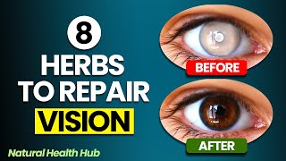 8 Herbs to Protect Eyes and Repair Vision [upl. by Kelwin895]