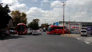 Neobus New Road Irizar i6s Volvo 9800 Irizar i8 Irizar i6 [upl. by Ecnerol]