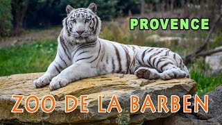 Zoo de la Barben in Provence A Photographic Discovery [upl. by Ventre]