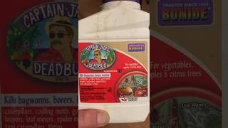 Does Captain Jacks Dead Bug really work  garden indoorplants gardening pestcontrol [upl. by Auburta314]