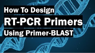 How To Create RealTime PCR Primers Using PrimerBLAST [upl. by Anaeda]