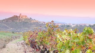 S2 Ep23 Rioja Four lovely recommendations from the newest Old World wine region this winter [upl. by Behlke323]