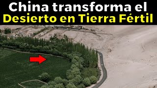 Cómo CHINA TRANSFORMA el desierto en un OASIS de Tierra Fértil [upl. by Cairns222]