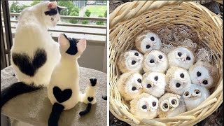 Cute Baby Animals Videos Compilation  Funny and Cute Moment of the Animals 31  Cutest Animals [upl. by Bittencourt]