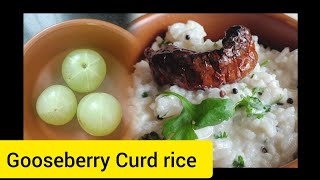 Healthy gooseberry curd rice for a balanced meal gooseberryrecipe yummy healtyandtasty [upl. by Aitercul791]