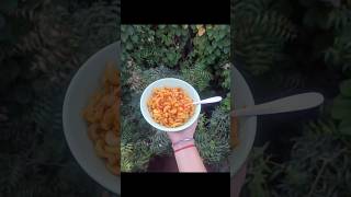 chilli onion semolina macaroni pasta healthy light savoury food youtubeshortsyoutubeindia [upl. by Onaicram]