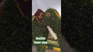 Beautiful flower showMysuru flower showtrendingonyoutubeytshorts [upl. by Aicercal]