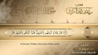 SURAH ALBAQARAH  NO ADS  beautiful Quran Recitation NoAds [upl. by Inge221]