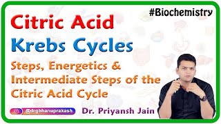 Citric Acid Cycle  Krebs Cycle  Steps Energetics and Intermediate Steps of the Citric Acid Cycle [upl. by Cinamod]