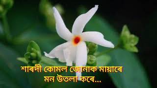 শাৰদী কোমল জোনাক মায়াৰে ॥ Xarodi kumol junak mayare ॥ Munmi Bora [upl. by Conger]