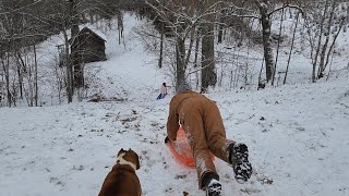 SLED DOGS Outside playing in the SNOW with the Kids and Dog Pack [upl. by Yesnikcm]