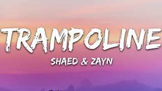 SHAED x ZAYN  Trampoline Lyrics [upl. by Eihtak359]