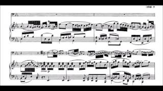 LVBeethoven Variations Bei Männern from Die Zauberflöte WoO 46 [upl. by Ekeiram]